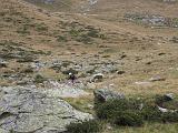 10-2014 Lago Colina - 139